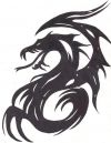 trial dragon free tats image